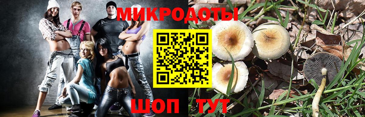 Галлюциногенные грибы GOLDEN TEACHER Ессентуки