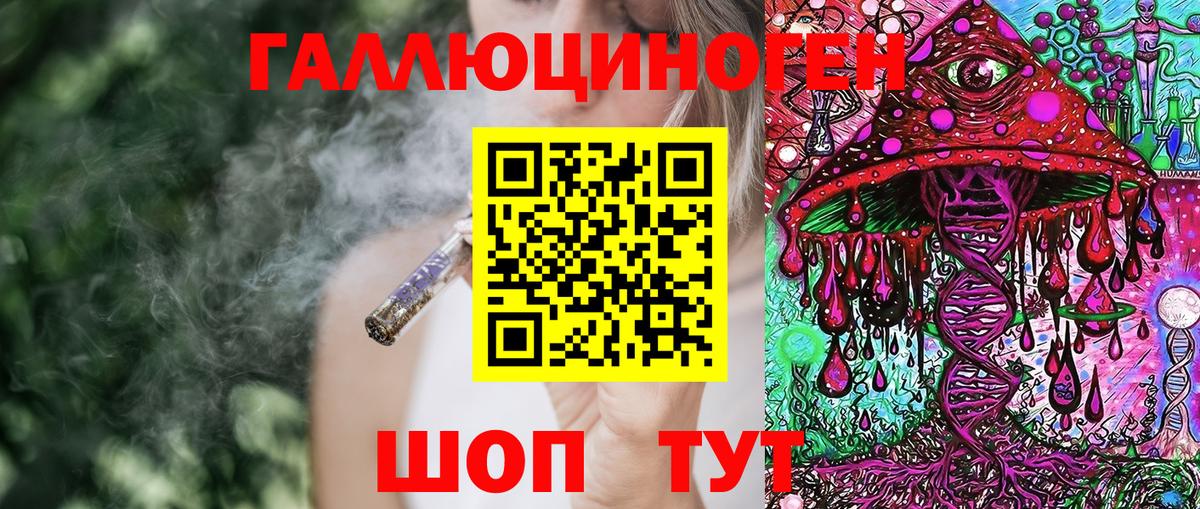 Галлюциногенные грибы Magic Shrooms  Псилоцибиновые грибы прущие грибы  Ессентуки  Вход с VPN 